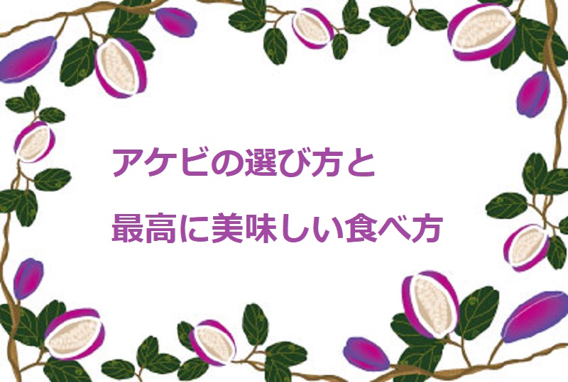 アケビの選び方と、最高に美味しい食べ方