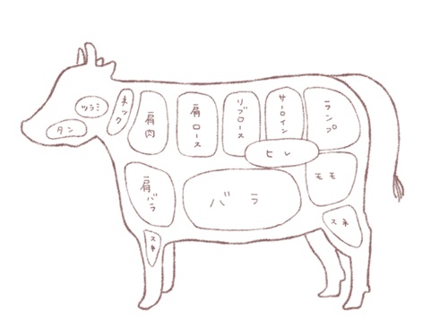 牛肉の部位