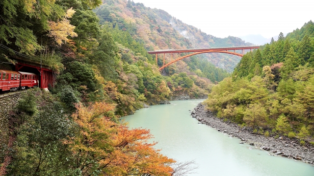 陸橋
