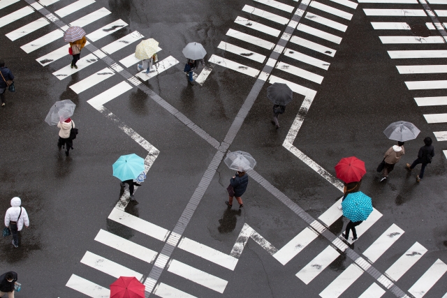 雨