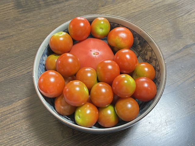 固いトマト