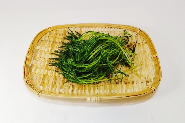 おかひじき
