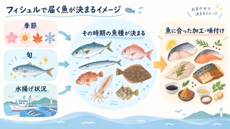 フィシュルで届く魚が決まるイメージ
