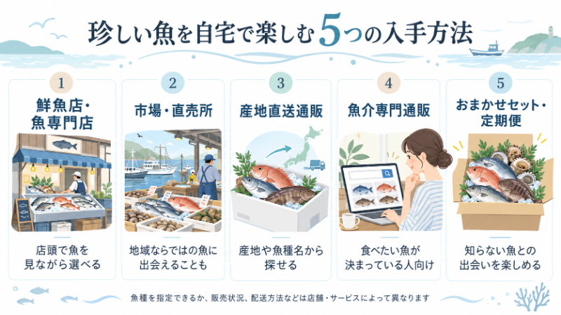 珍しい魚を自宅で楽しむ5つの入手方法