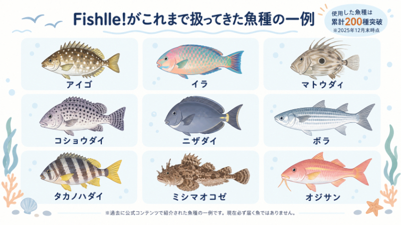 Fishlle!がこれまで扱ってきた魚種の一例